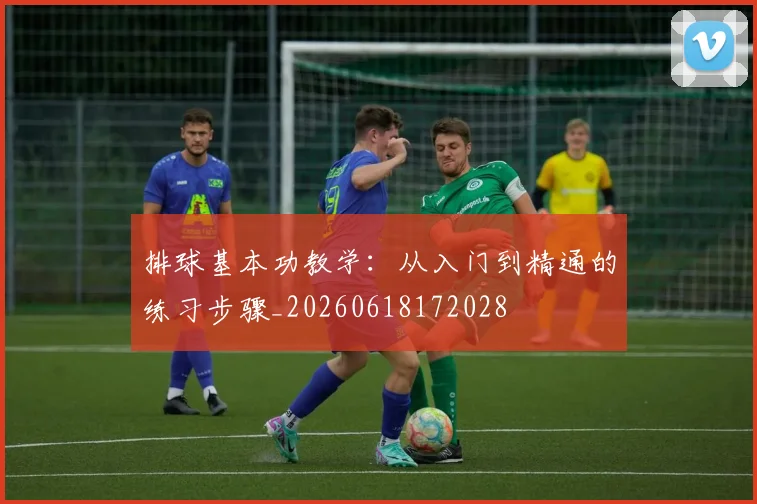排球基本功教学：从入门到精通的练习步骤_20260618172028