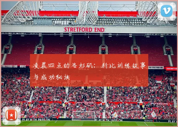 凌晨四点的洛杉矶:科比训练故事与成功秘诀
